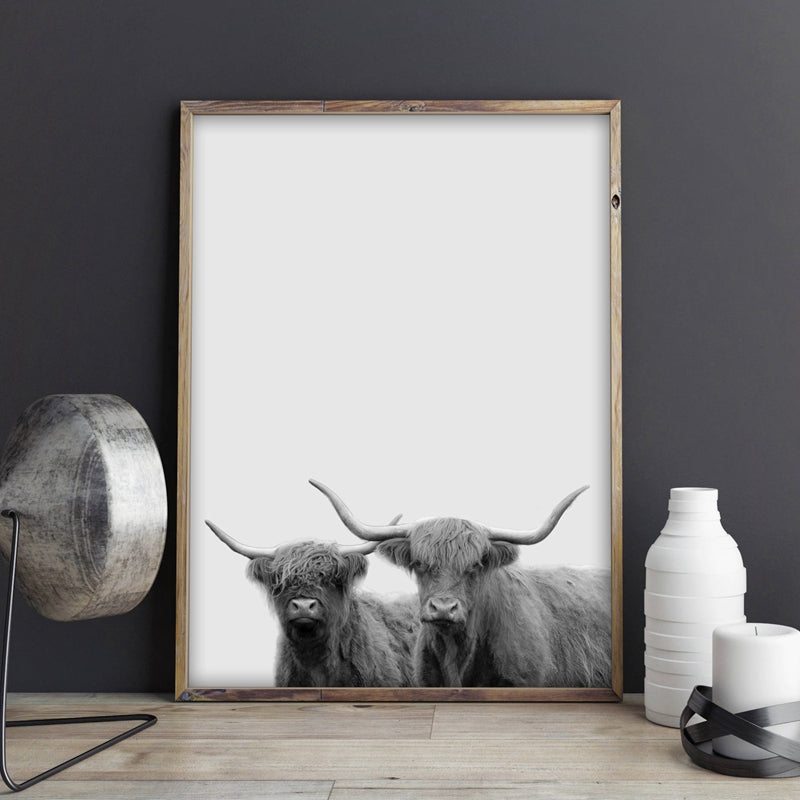 Modern Animal Photography Highland Cow Painting