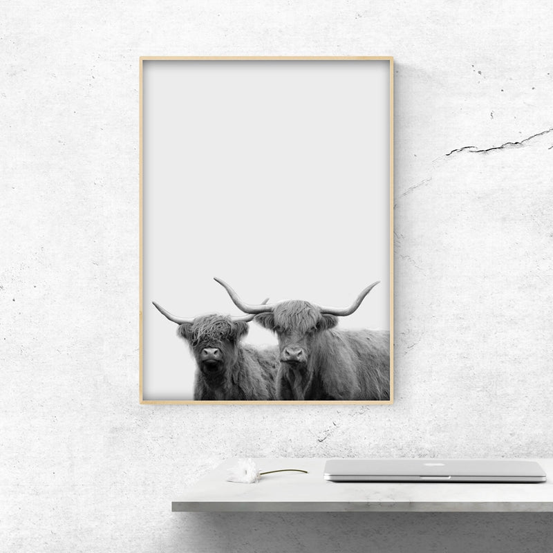 Modern Animal Photography Highland Cow Painting