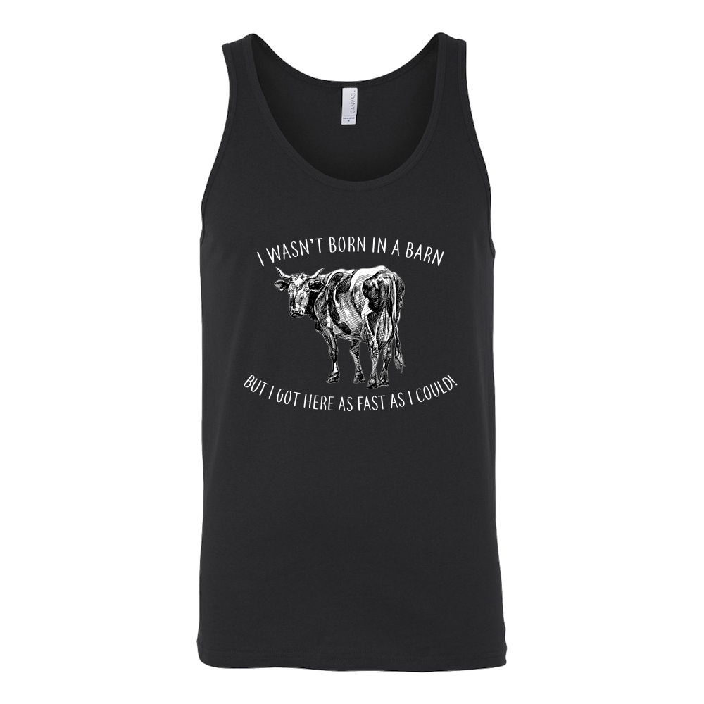 Limited Edition - I Wasn't Born In A Barn