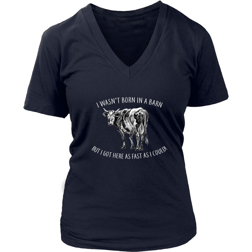 Limited Edition - I Wasn't Born In A Barn