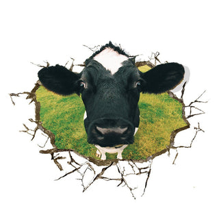 Home Decor 3D Wall Sticker